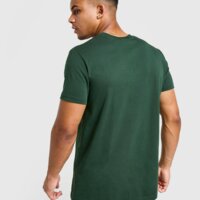 Koszulka męska MCKENZIE T-SHIRT COAST mcktm16824524 kolor zielony