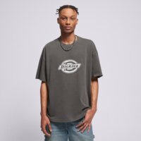 Koszulka męska DICKIES T-SHIRT PLAINVILLE SS TEE dk0a88gnblk1 kolor szary
