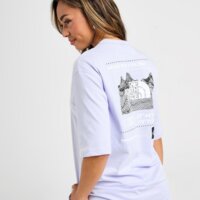 Koszulka damska THE NORTH FACE T-SHIRT TECH GRPH BF T BLU/WHT nf0a8cbq0vi1 kolor niebieski