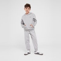 Bluza dziecięca ADIDAS BLUZA Z KAPTUREM HOODIE B ix5285 kolor szary