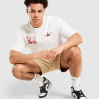 Koszulka męska JORDAN T-SHIRT M J BRK VRSTY GFX SS CREW if3127-100 kolor biały