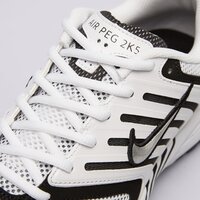 Męskie buty NIKE AIR PEGASUS 2005 fj1909-100 kolor biały