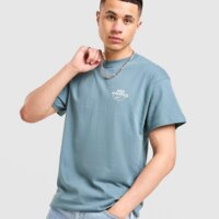 Koszulka męska NIKE T-SHIRT NSW PALM iv0610-382 kolor niebieski