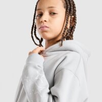 Bluza dziecięca SUPPLY&DEMAND BLUZA Z KAPTUREM VITO 2.0 FZ suptjb18454020 kolor szary