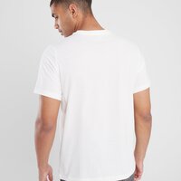 Koszulka męska NIKE T-SHIRT M NSW TEE 6 MO FUTURA fz5375-133 kolor beżowy