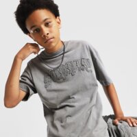 Koszulka dziecięca SUPPLY&DEMAND T-SHIRT DAR TEE suptjb17931171 kolor szary