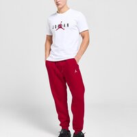 Koszulka męska JORDAN T-SHIRT M J JDN AIR STRETCH SS CREW hq1893-100 kolor biały