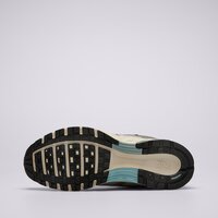 Męskie buty NIKE P-6000 fn7509-029 kolor szary