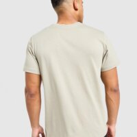 Koszulka męska THE NORTH FACE T-SHIRT M S26 TABLE TEE nf0a8jh91i41 kolor beżowy