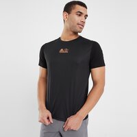 Koszulka męska THE NORTH FACE T-SHIRT MA TEE BLK/FLAME nf0a88c6jk31 kolor czarny