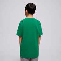 Koszulka dziecięca JORDAN T-SHIRT JDB JUMPMAN AIR EMB BOY 95d266-e1p kolor zielony