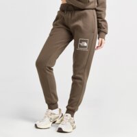 Spodnie damskie THE NORTH FACE SPODNIE JOGGER OUTLINE nf0a8aj41oi1 kolor brązowy