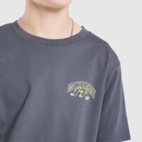Koszulka dziecięca MCKENZIE T-SHIRT ANSON TEE mcktjb17137061 kolor szary
