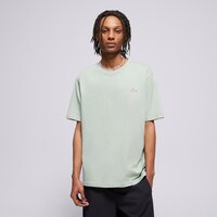 Koszulka męska DICKIES T-SHIRT SS MAPLETON TEE dk0a4xdbk361 kolor zielony
