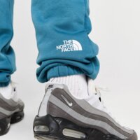 Spodnie męskie THE NORTH FACE SPODNIE M CHANGLA PANT nf0a88aqq311 kolor niebieski