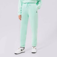 Spodnie damskie JORDAN SPODNIE ESSENTIAL JOGGERS dn4575-379 kolor miętowy