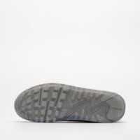 Męskie buty NIKE AIR MAX TERRASCAPE 90 dv7413-014 kolor szary