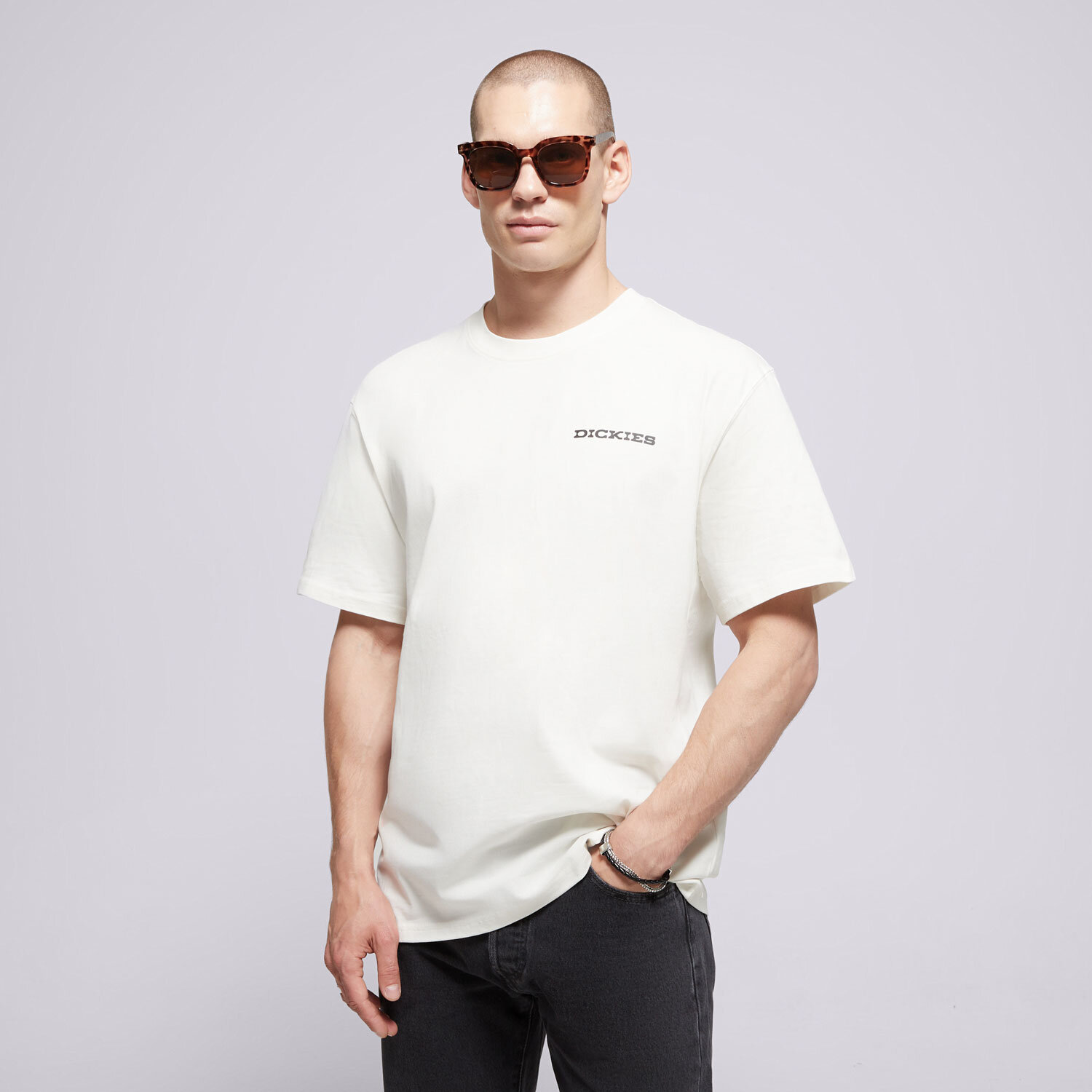 DICKIES T SHIRT LANDASCAPE SS TEE
