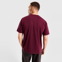Koszulka męska REEBOK T-SHIRT ROBINSON rk25097mgm100050 kolor bordowy