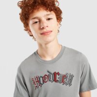 Koszulka dziecięca HOODRICH T-SHIRT REGULAR CROWN hj01260024 kolor szary