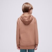 Bluza dziecięca JORDAN BLUZA Z KAPTUREM MJ FLIGHT MVP HBR FLC BOY 95d228-x1i kolor brązowy