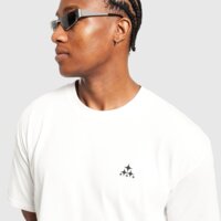 Koszulka męska NIKE T-SHIRT M ACG TEE MYSTERY LIGHTS hv2172-121 kolor biały