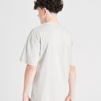 Koszulka dziecięca SUPPLY&DEMAND T-SHIRT PRAISE GRY-HIR B suptjb17515020 kolor szary