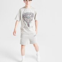 Koszulka dziecięca SUPPLY&DEMAND T-SHIRT PRAISE GRY-HIR B suptjb17515020 kolor szary