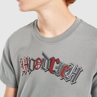 Koszulka dziecięca HOODRICH T-SHIRT REGULAR CROWN hj01260024 kolor szary