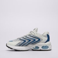 Męskie buty NIKE AIR MAX TW dq3984-007 kolor szary