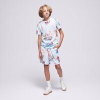 Koszulka dziecięca JORDAN T-SHIRT JDB JORDAN FLAMINGO AOP SS TEE BOY 95d844-001 kolor multicolor