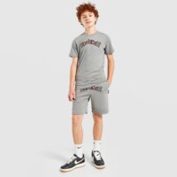 Koszulka dziecięca HOODRICH T-SHIRT REGULAR CROWN hj01260024 kolor szary