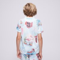 Koszulka dziecięca JORDAN T-SHIRT JDB JORDAN FLAMINGO AOP SS TEE BOY 95d844-001 kolor multicolor