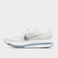 Męskie buty do biegania NIKE PEGASUS PREMIUM hq2592-107 kolor biały