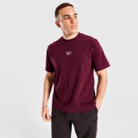 Koszulka męska REEBOK T-SHIRT ROBINSON rk25097mgm100050 kolor bordowy