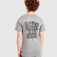 Koszulka dziecięca HOODRICH T-SHIRT REGULAR CROWN hj01260024 kolor szary