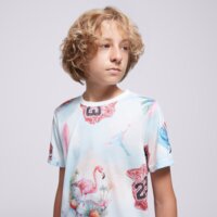 Koszulka dziecięca JORDAN T-SHIRT JDB JORDAN FLAMINGO AOP SS TEE BOY 95d844-001 kolor multicolor