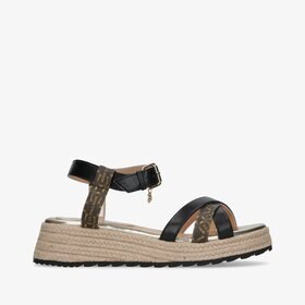 U.S. POLO ASSN KATE001