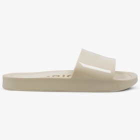 SYMBIOSIS INES SLIDES